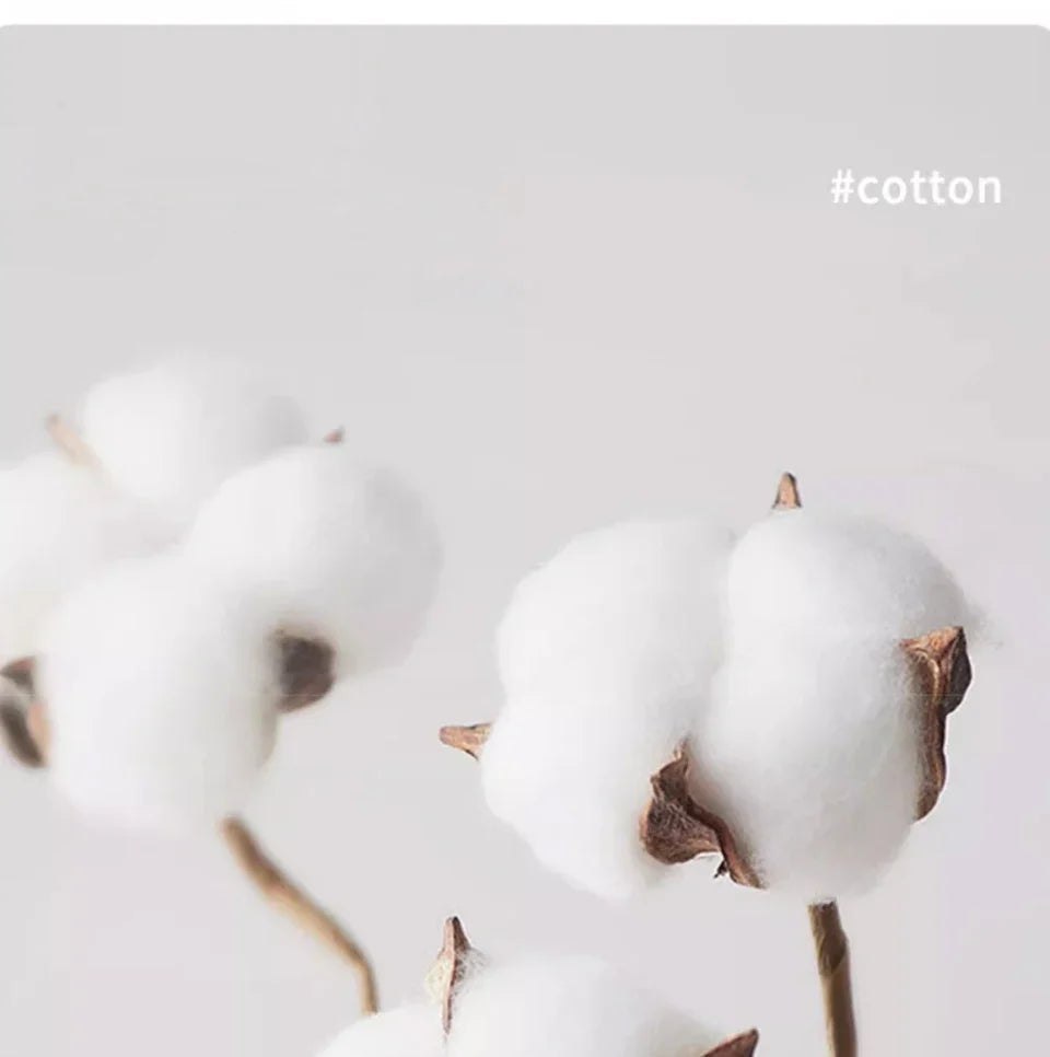 100% pure cotton summer high-end brand men's short sleeve round neck fashionable style half sleeved top breathable T-shirt